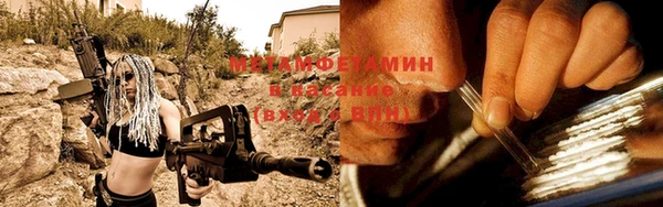 трава Аркадак