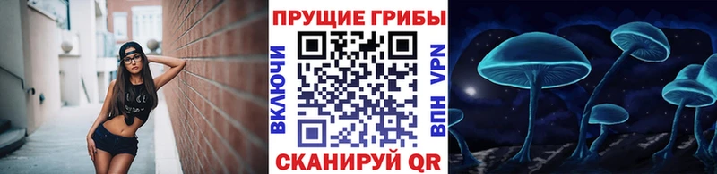 Галлюциногенные грибы мицелий  Североуральск 